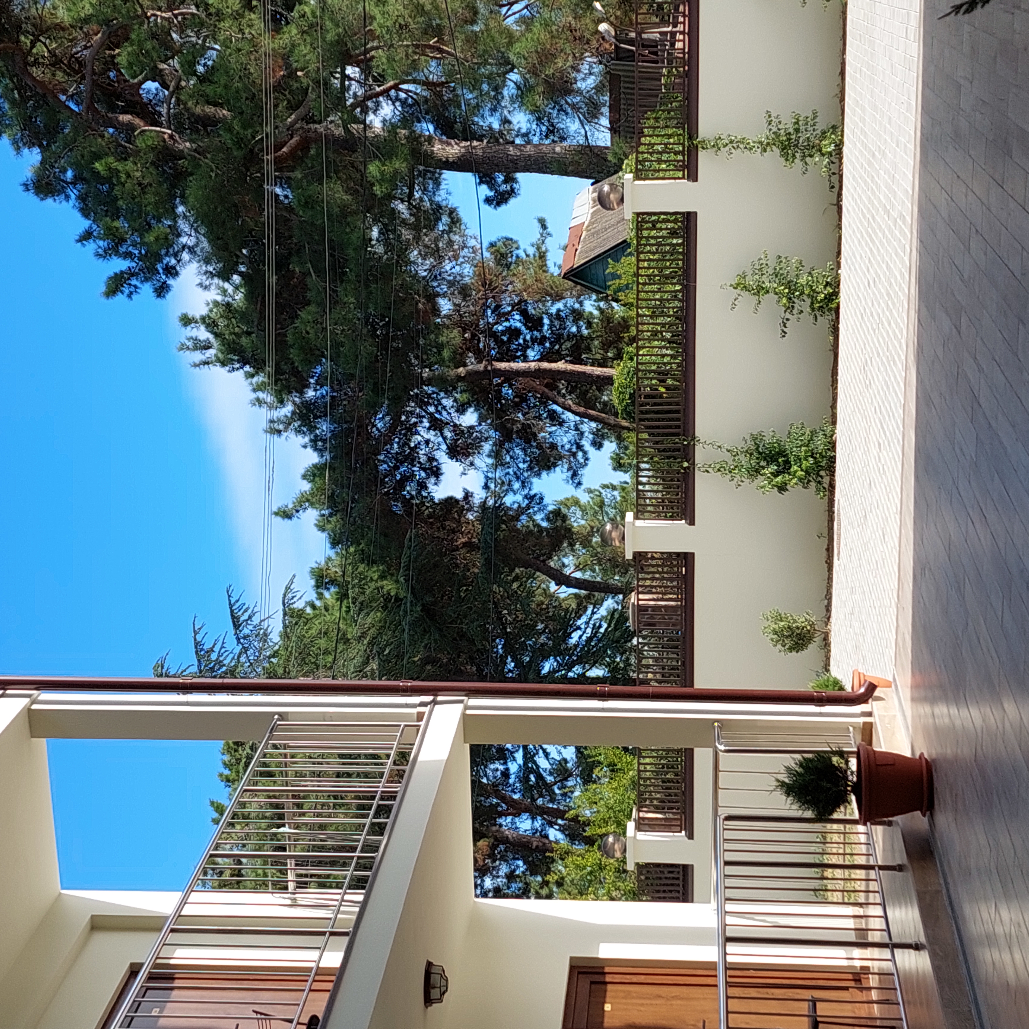 Фото Талион