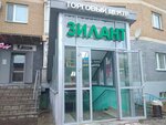 Zilant (Maksimov Street, 40), shopping mall