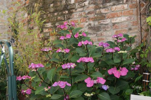 Фото Avanguardia Art Club