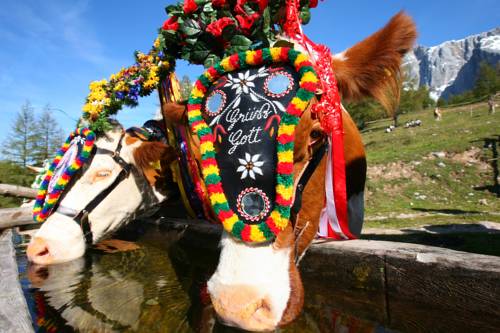 Фото Haus Bergzauber