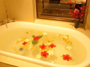 Гостиница Solomon Kitano Mendana Hotel