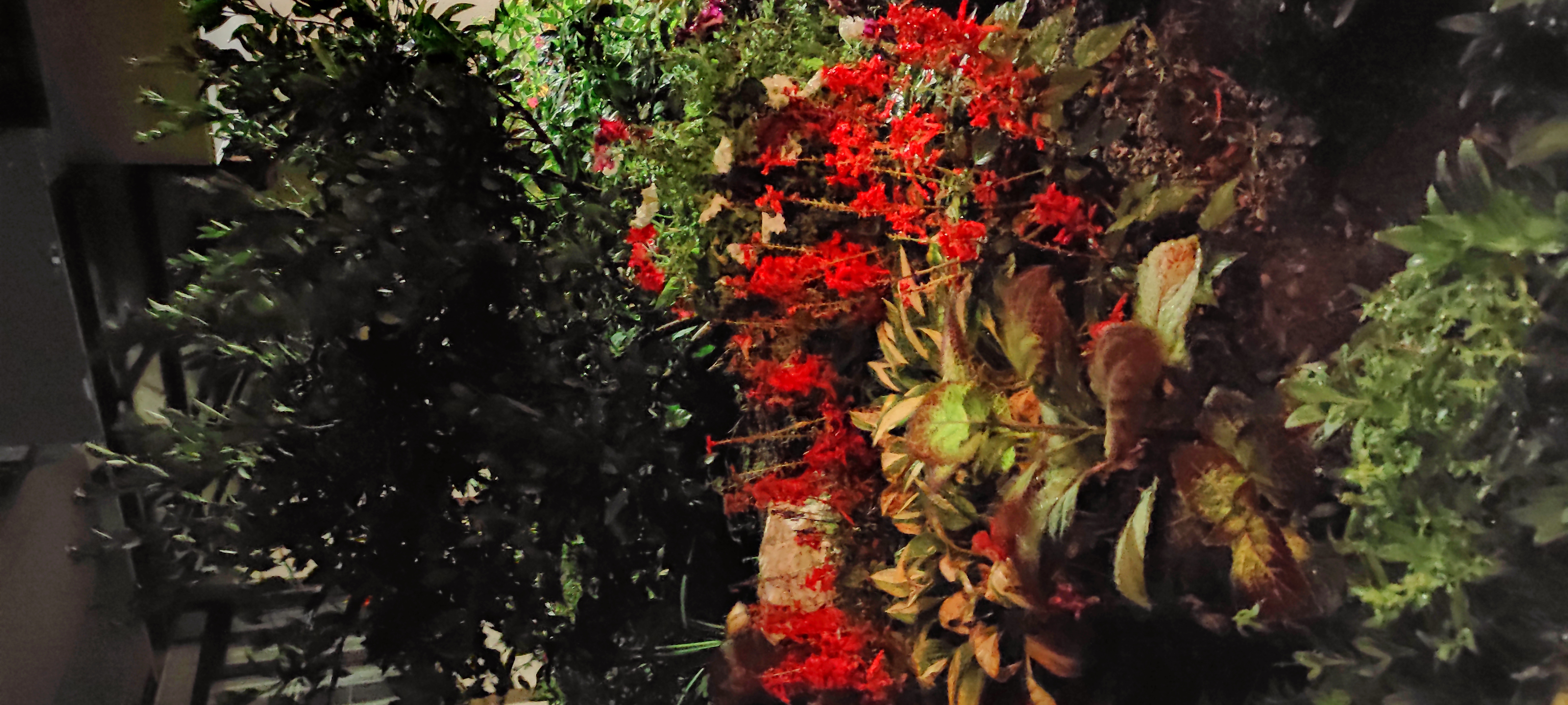 Фото Гостевой дом Лето