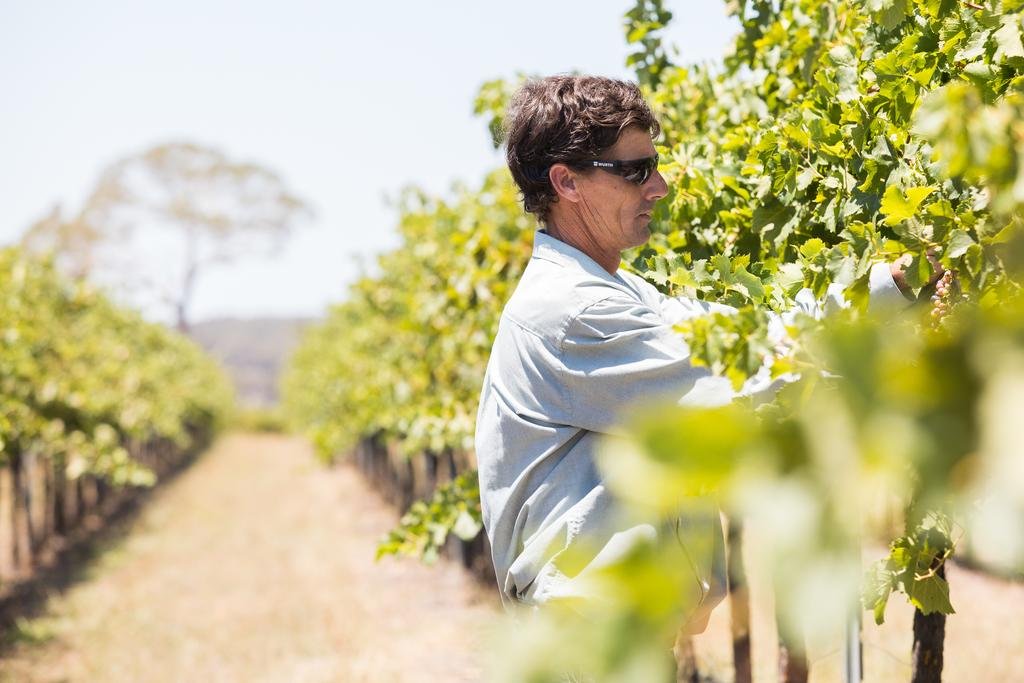 Фото Petersons Armidale Winery and Guesthouse