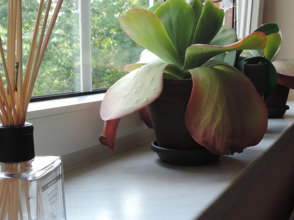 Фото Hotel Carl von Clausewitz