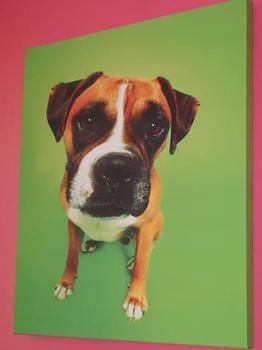 Фото Hotel du Theatre