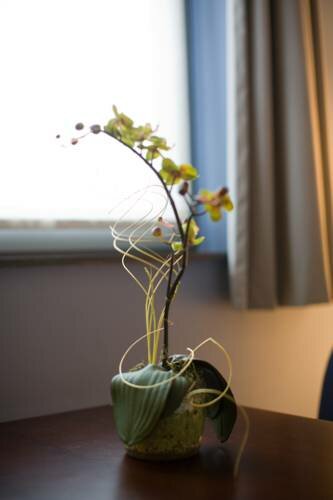 Гостиница Orchidee в Восточной Фландрии