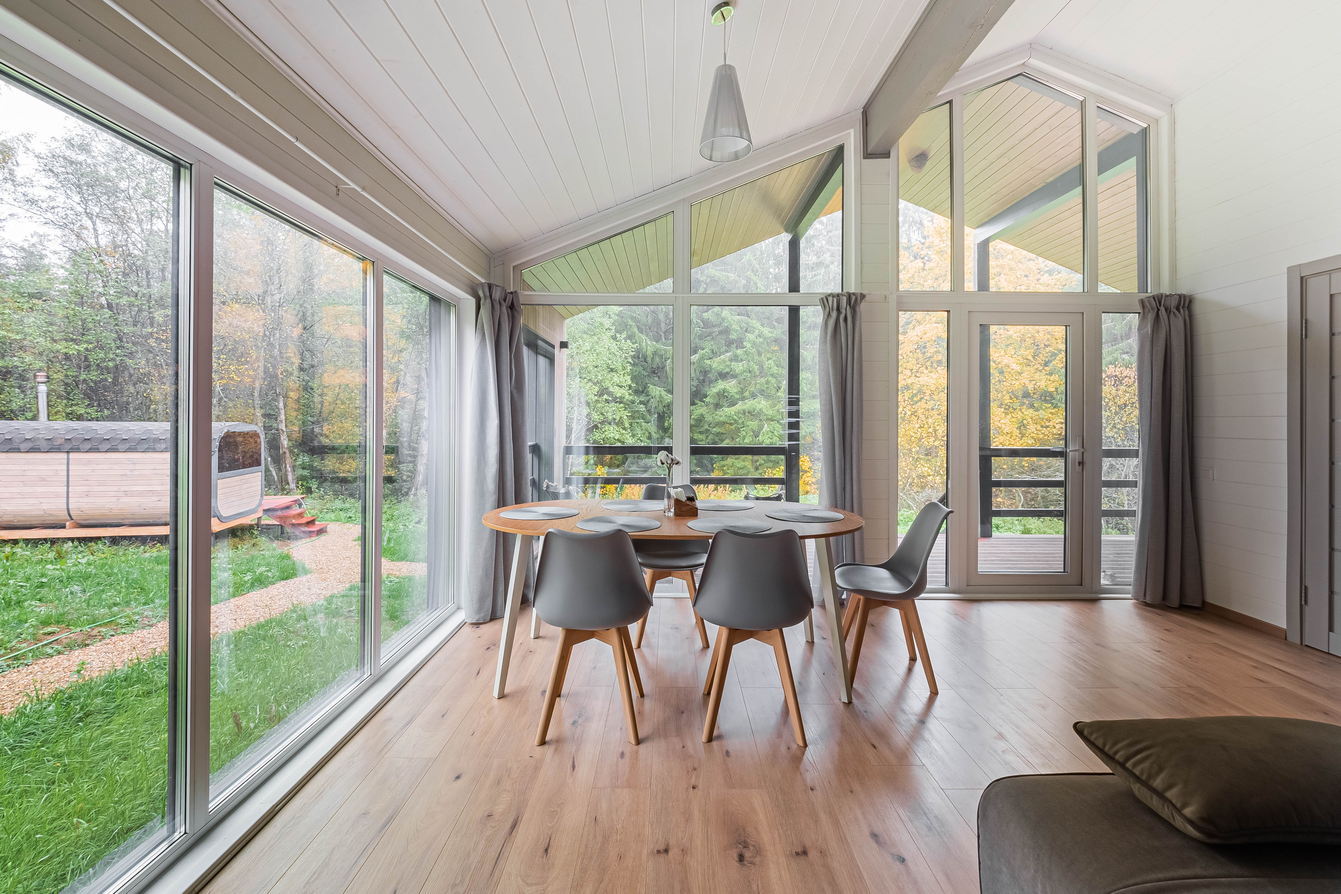 Фото Pine Forest