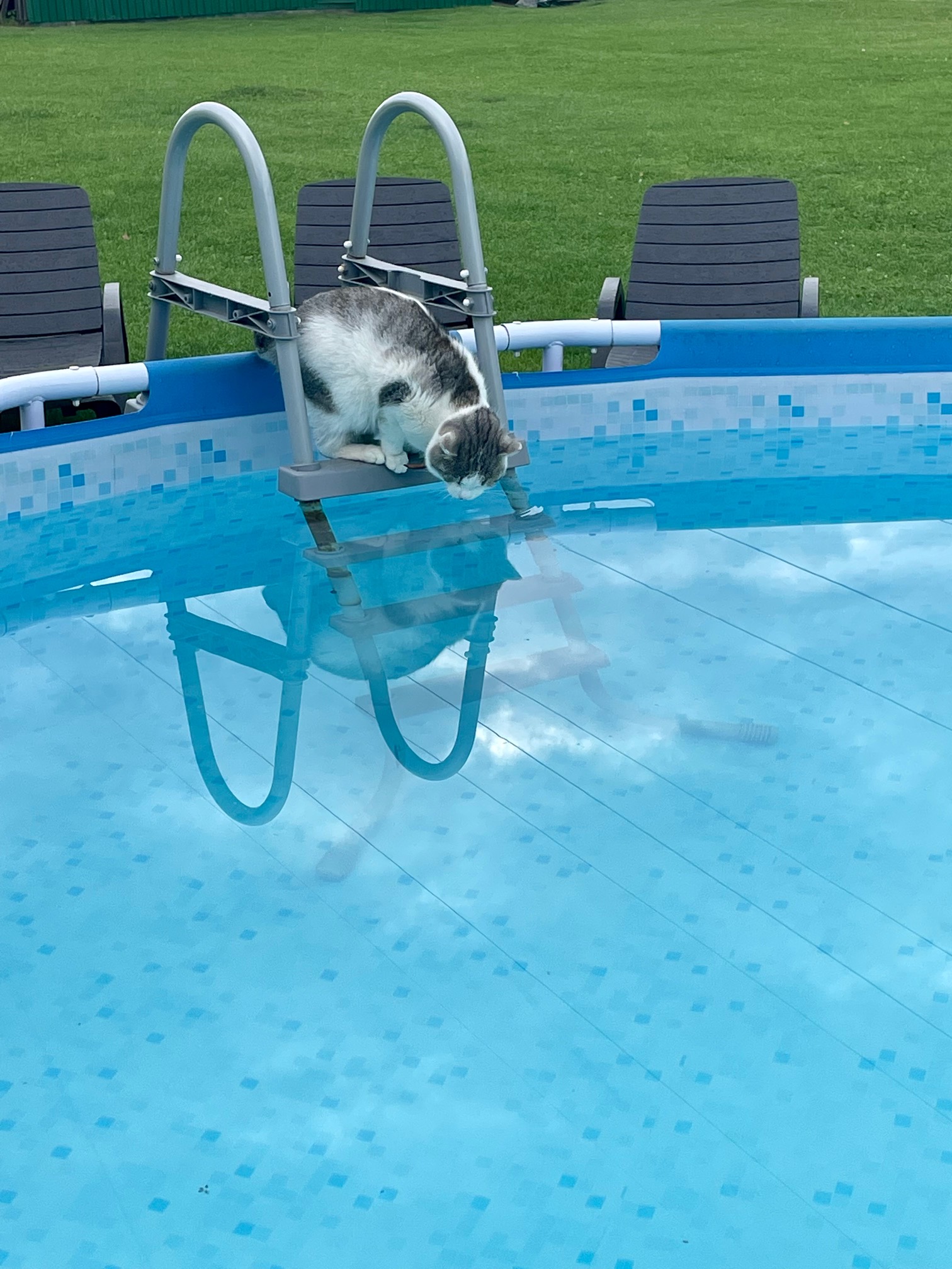 Фото Зеленые холмы