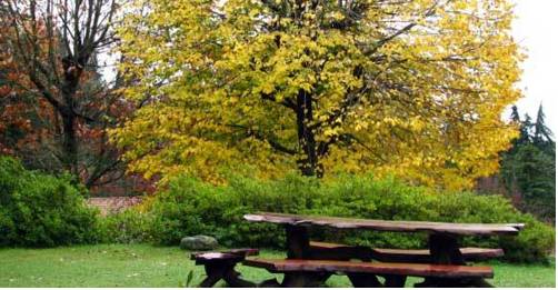 Фото Hotel La Cumbrecita