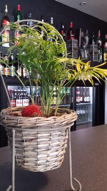 Фото 190936230538