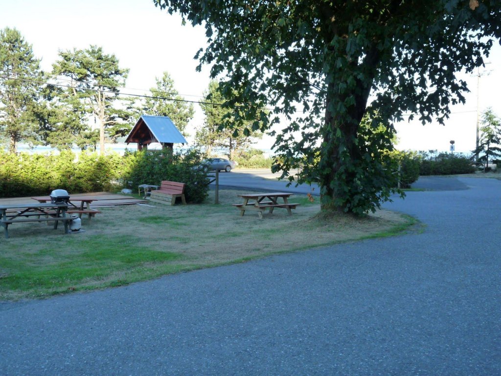 Фото Driftwood by the Sea Inn and Rv Resort