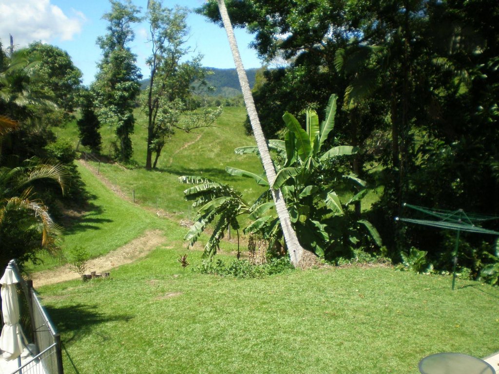 Фото Daintree Village Hideaway