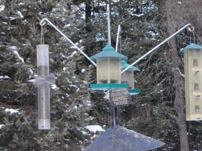 Фото Gîte la Tremblante