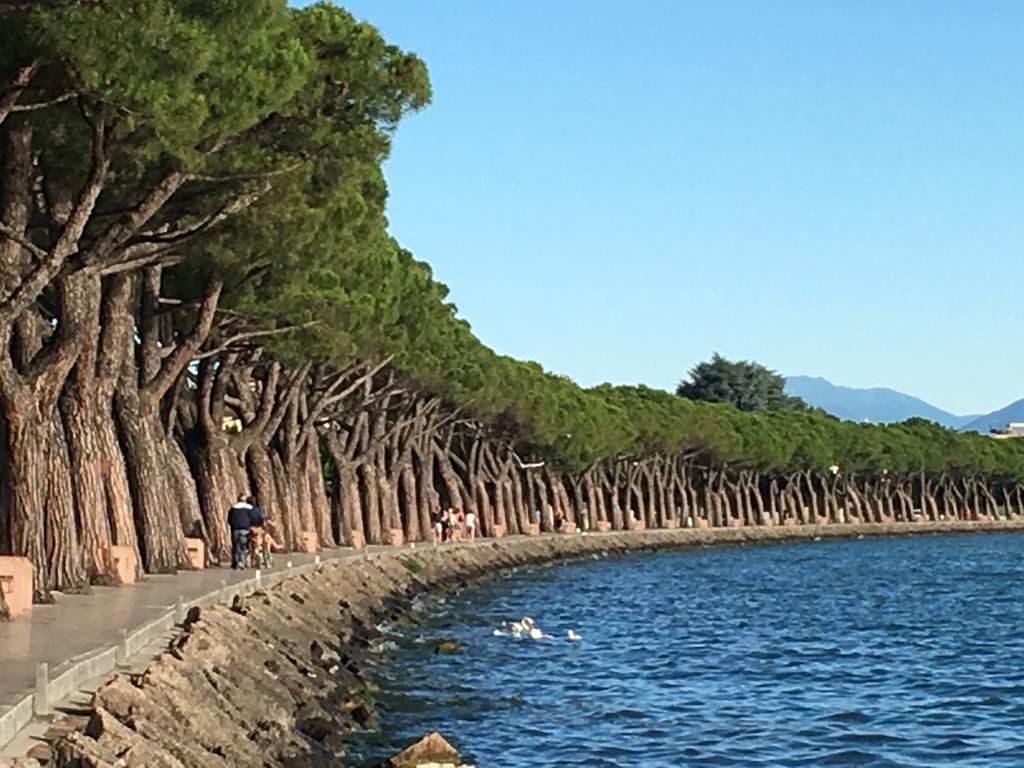 Фото Camping & Village Bella Italia