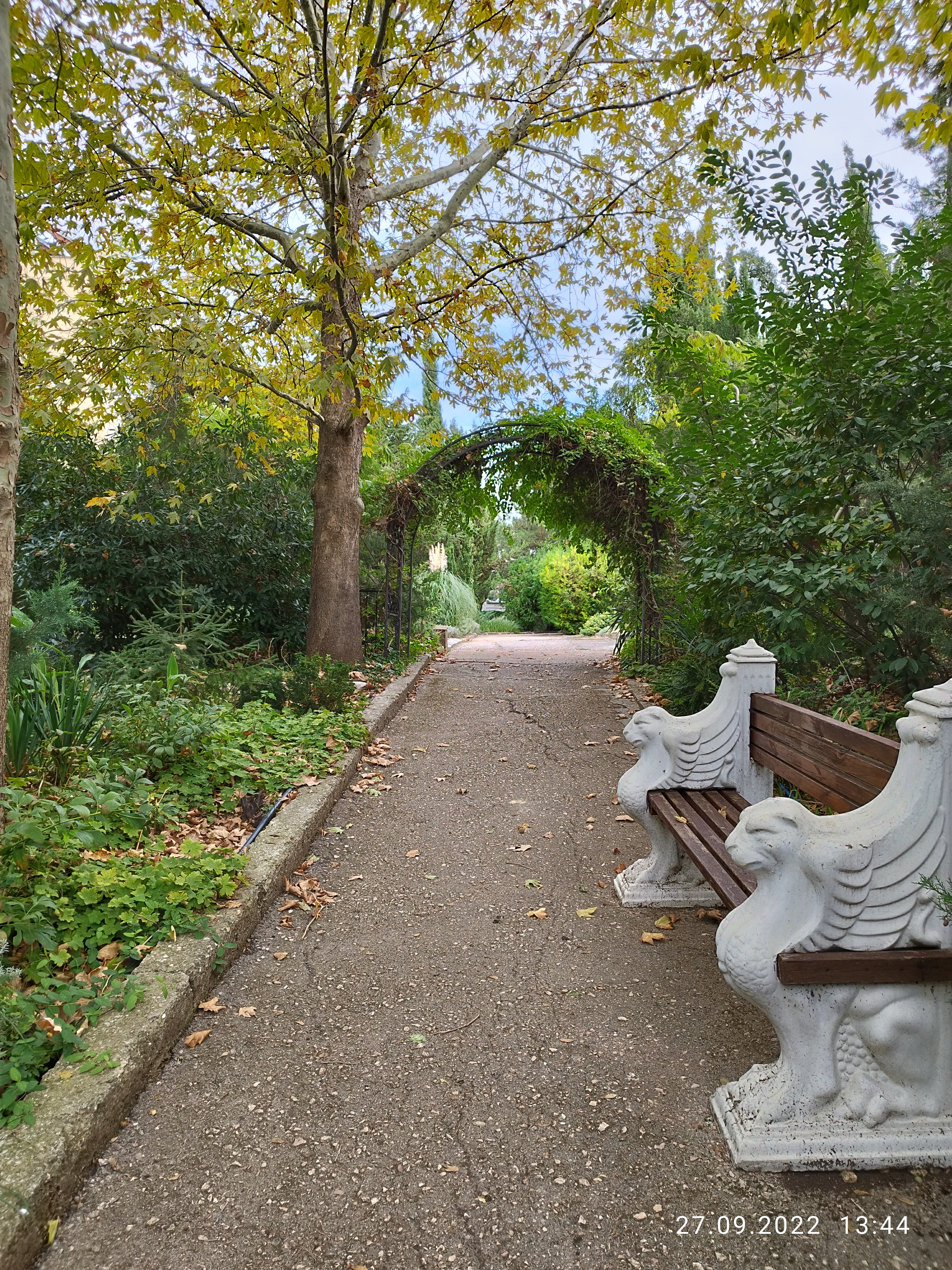 Фото Альбатрос