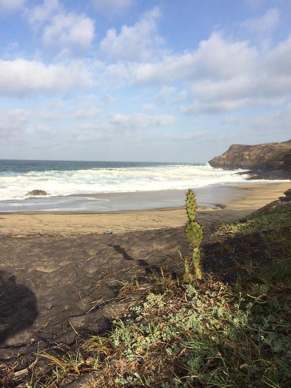 Фото Posada Inn Los Jacalitos