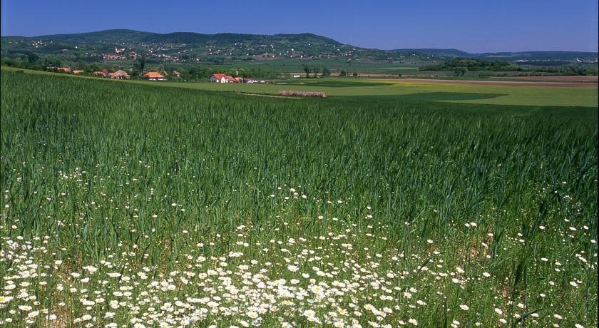Фото Köveskal Vendeghaz