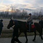 Пегас (30, территория Панин Бугор, Тобольск), конный клуб в Тобольске