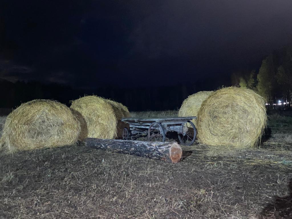 Фото Изумрудная поляна дачи