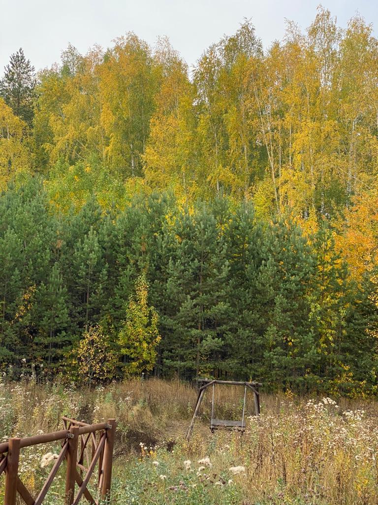 Фото Изумрудная поляна дачи