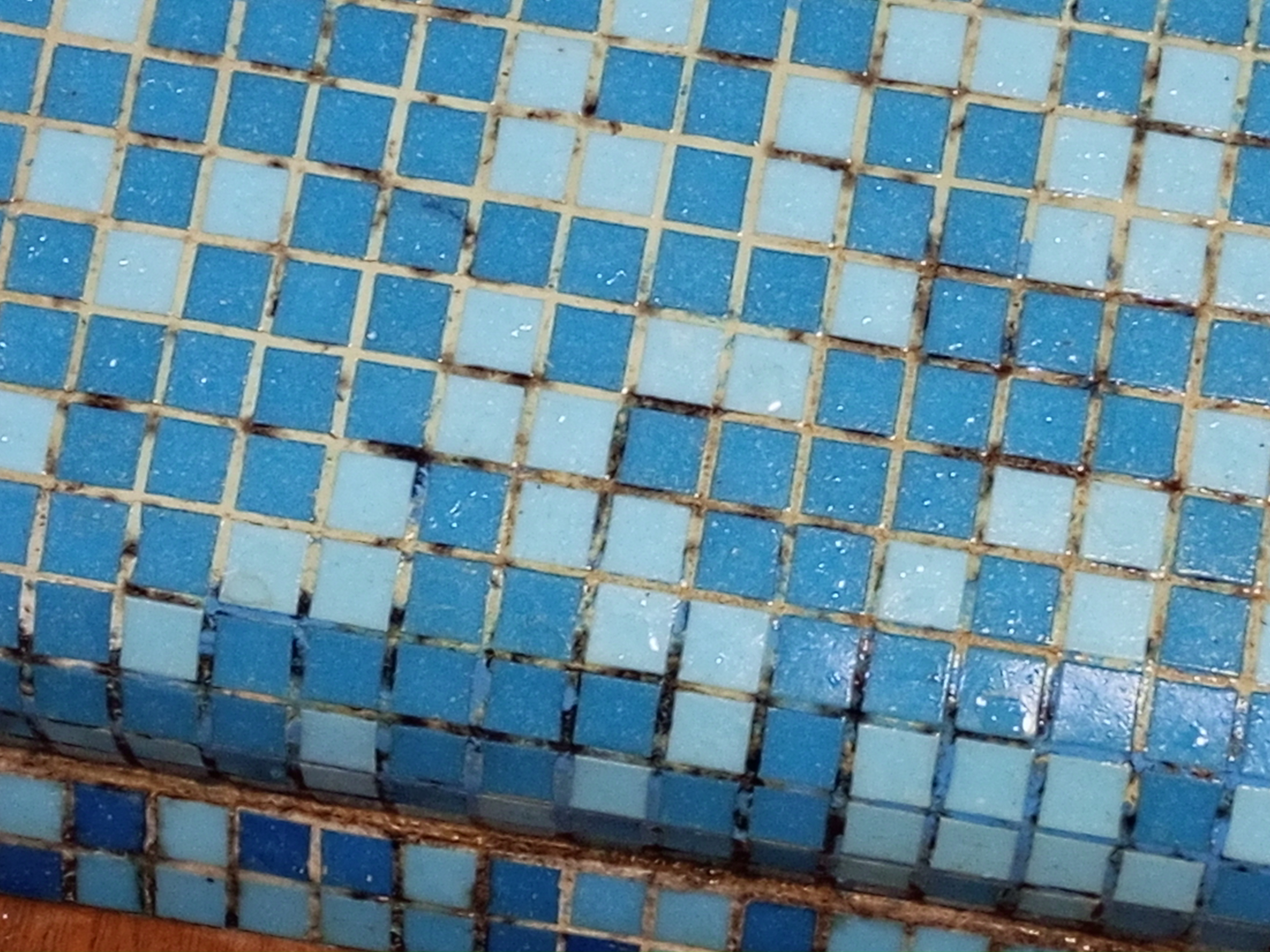 Фото Астерия