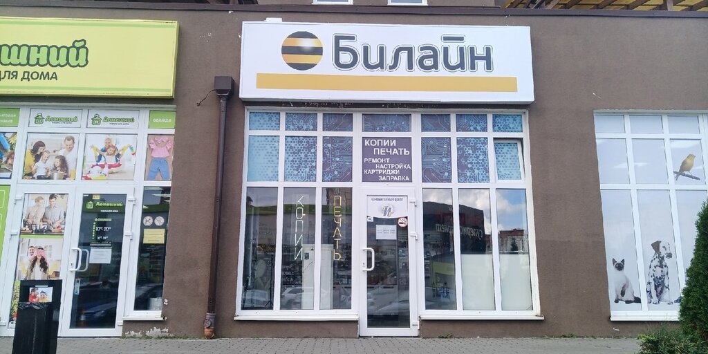 Mobile network operator beeline, Zelenogradsk, photo