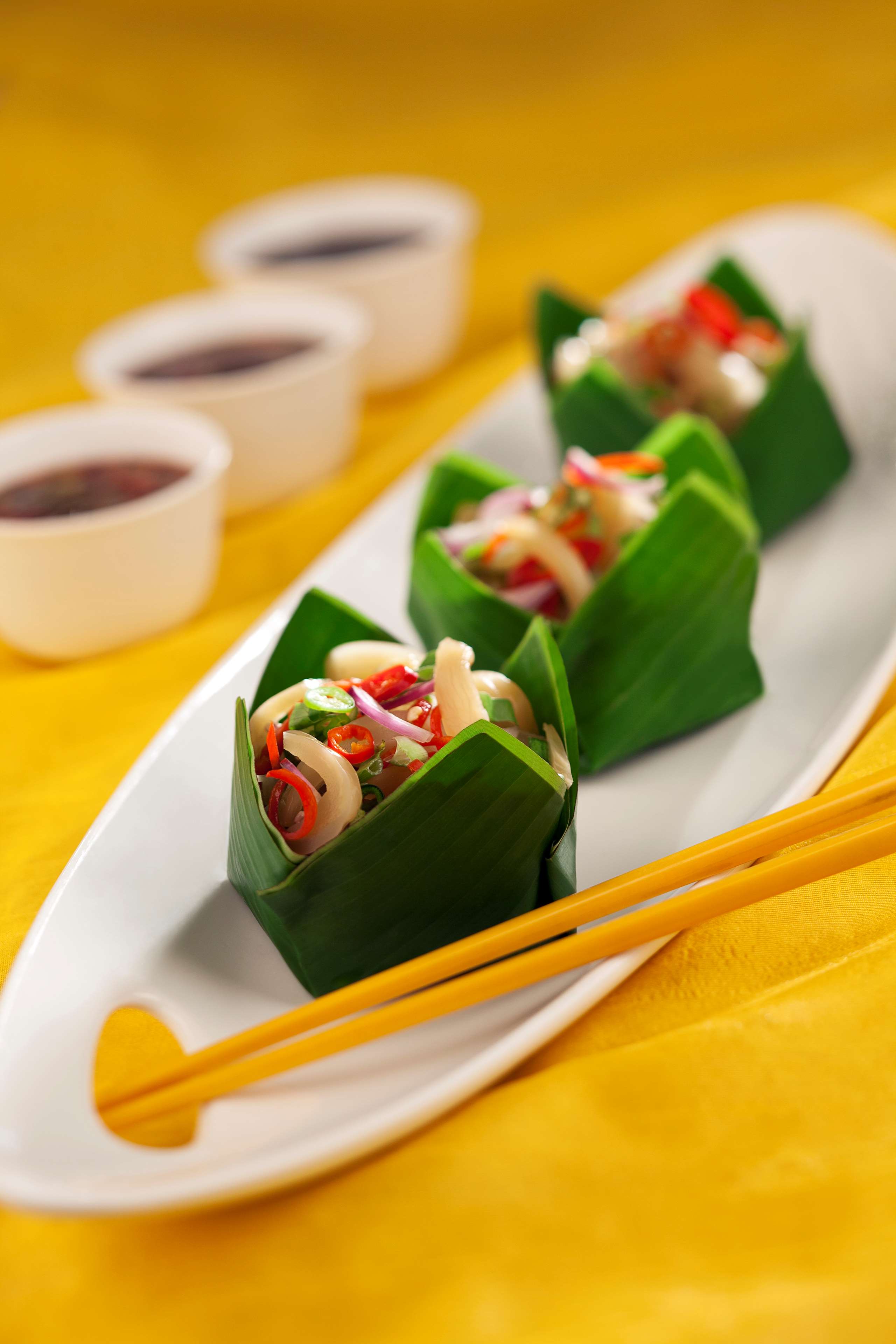 Фото Radisson Blu Plaza Hotel, Delhi Airport