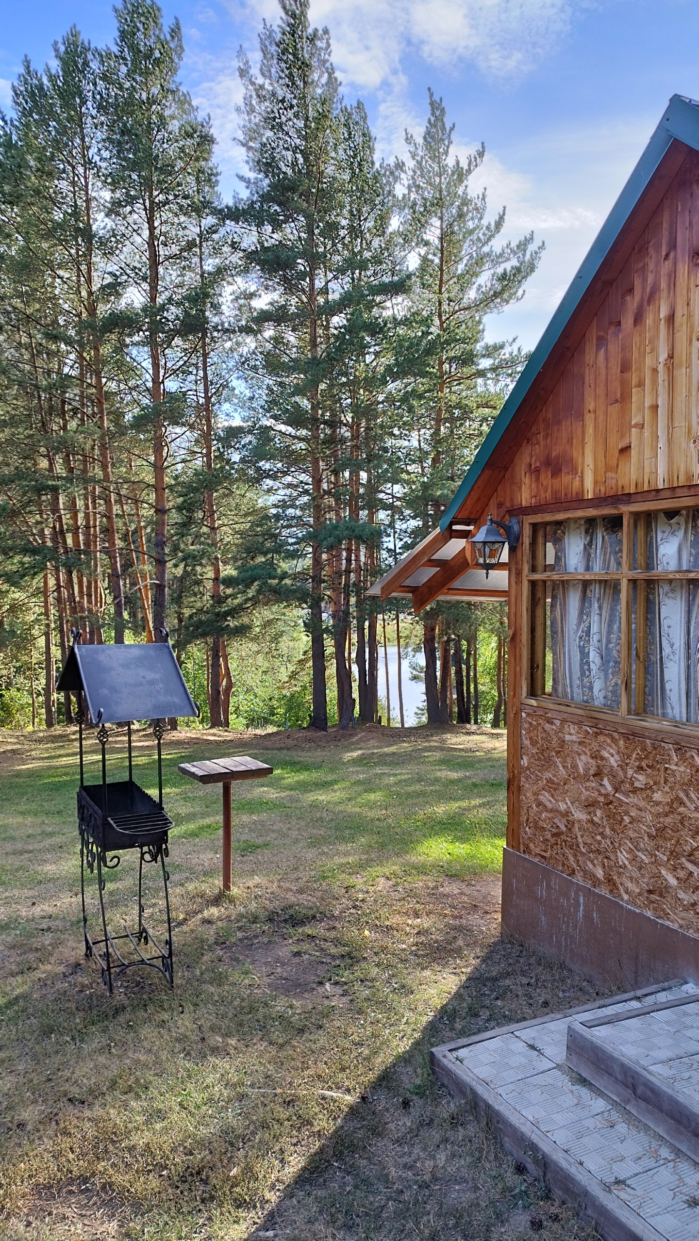 Фото Иволга