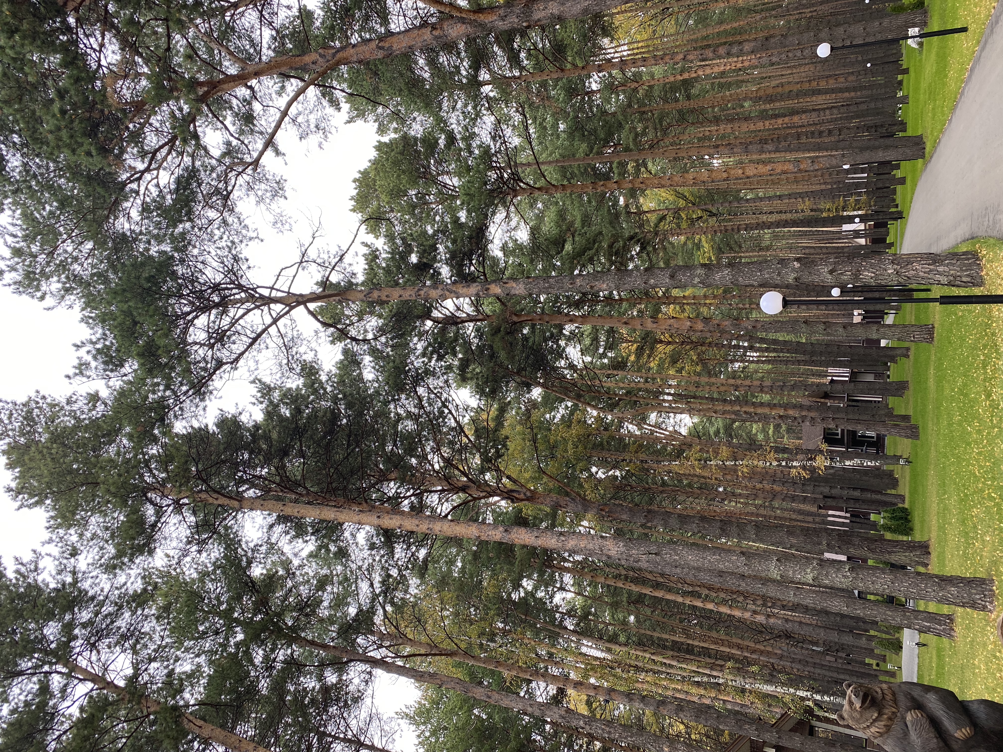 Фото Лукоморье