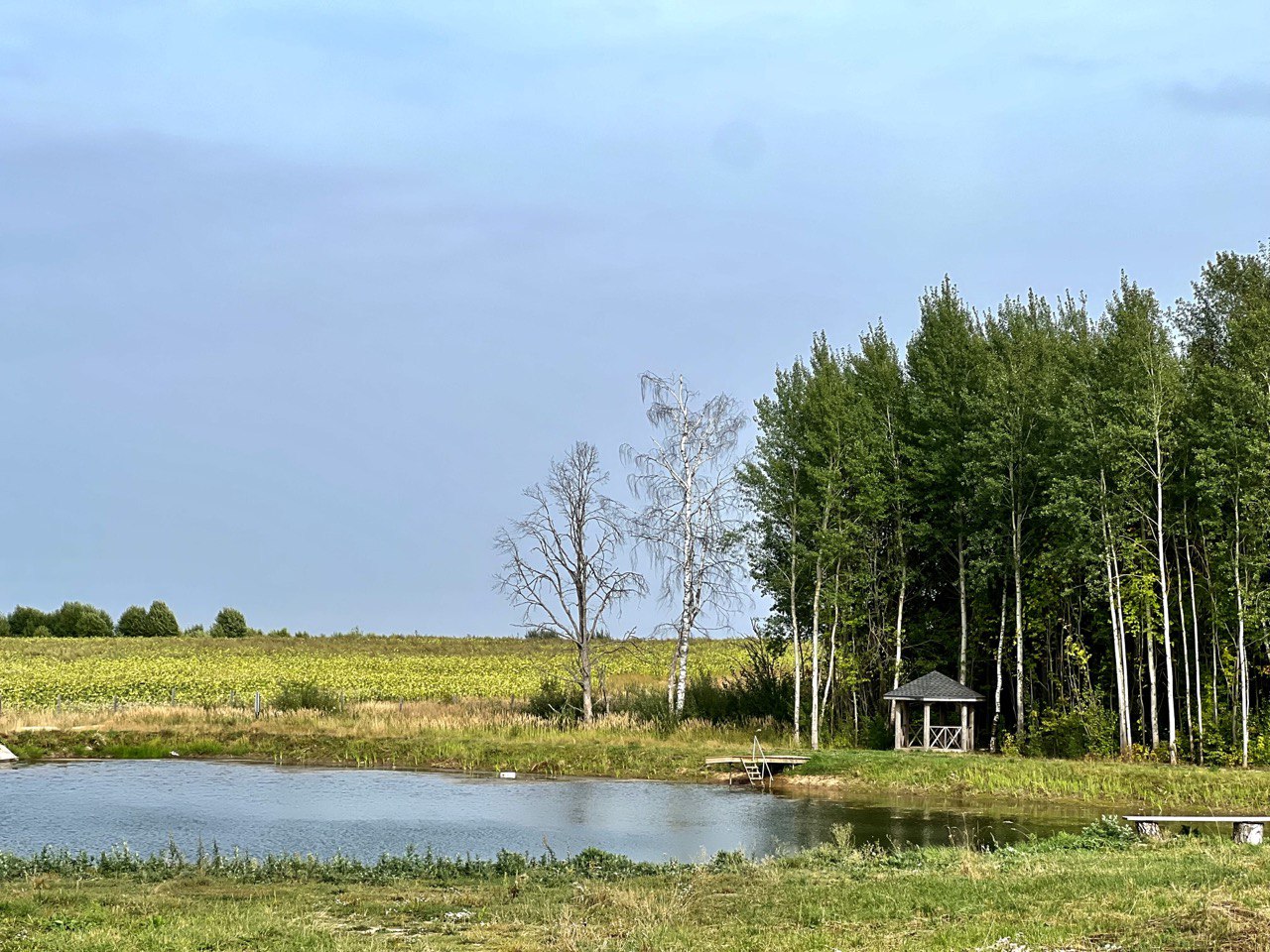 Фото Золотое кольцо