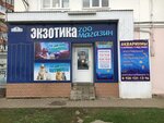 Ekzotika (ulitsa Shchepkina, 22), pet shop