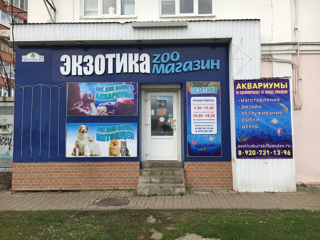 Pet shop Ekzotika, Kursk, photo