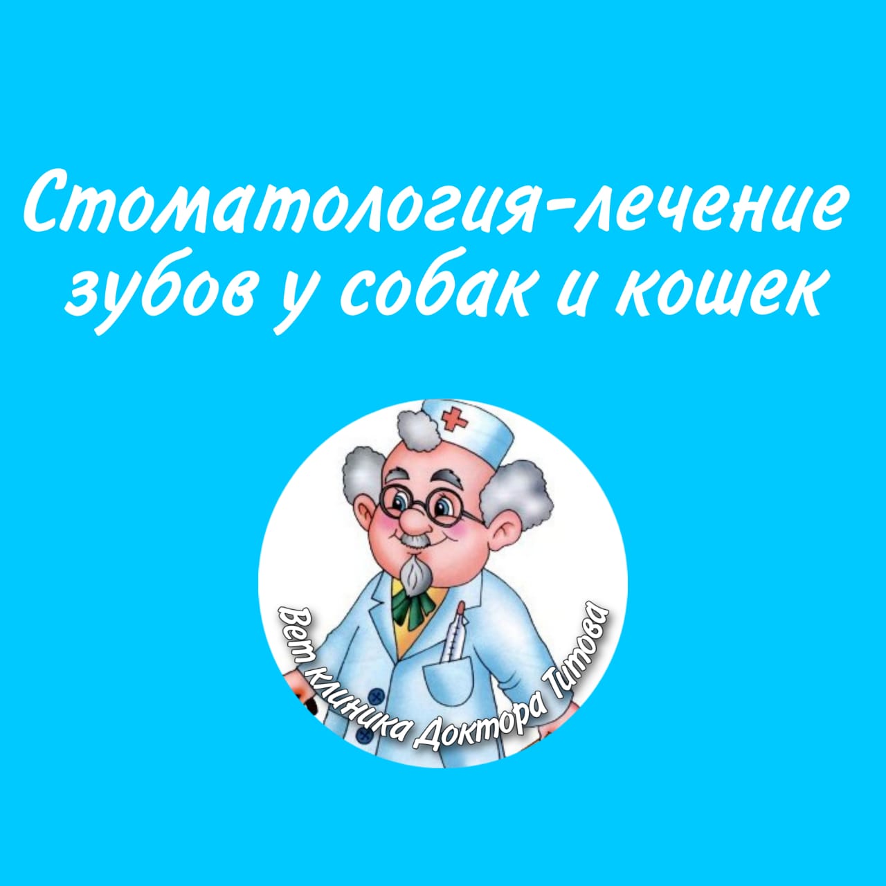 Ветеринарная клиника доктора Титова - фото 3