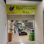 Cvetushchij-sad (Novosibirsk, Novosibirskaya ulitsa, 18/1), tienda para jardineros