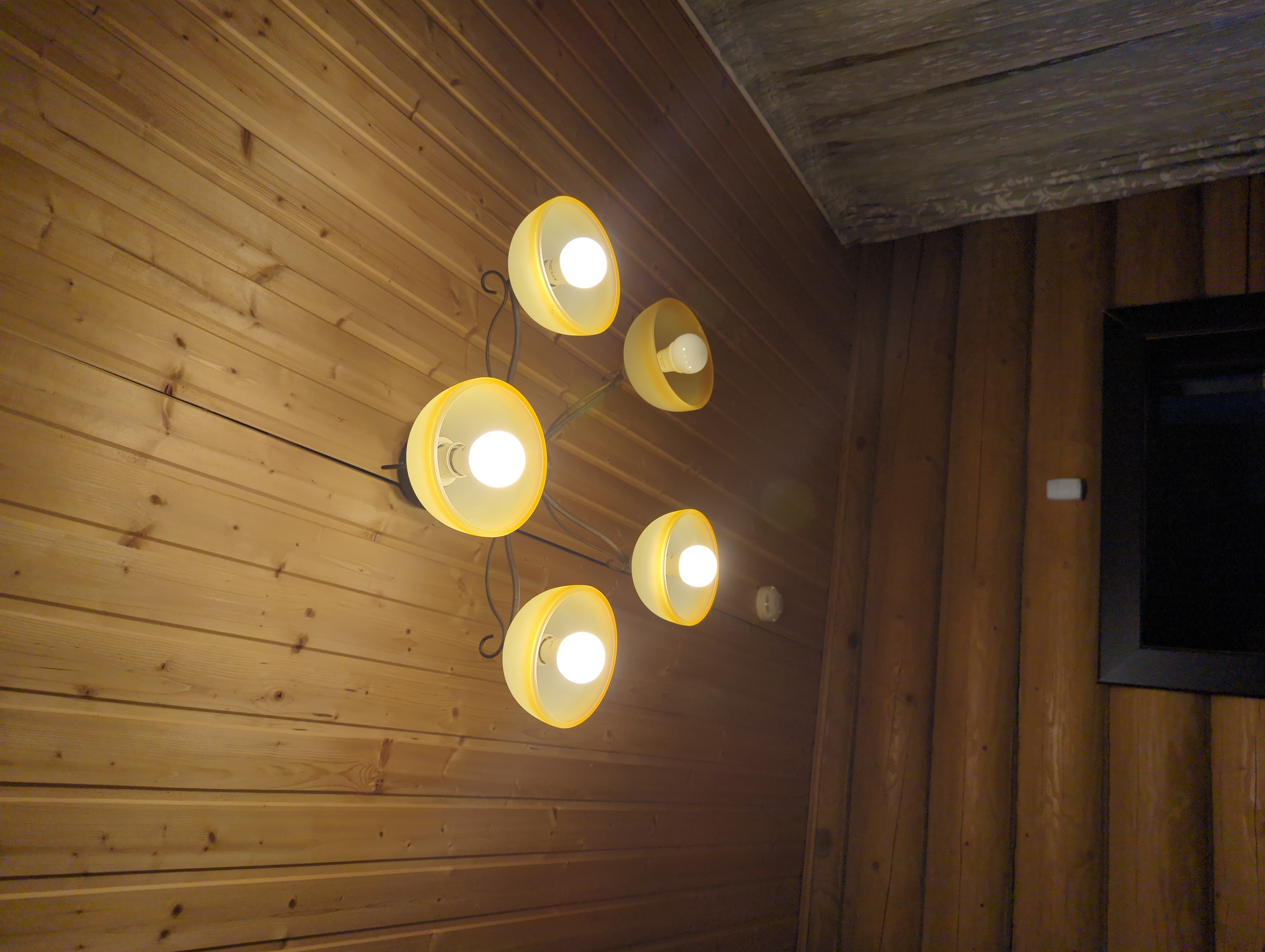 Фото Кизиловая