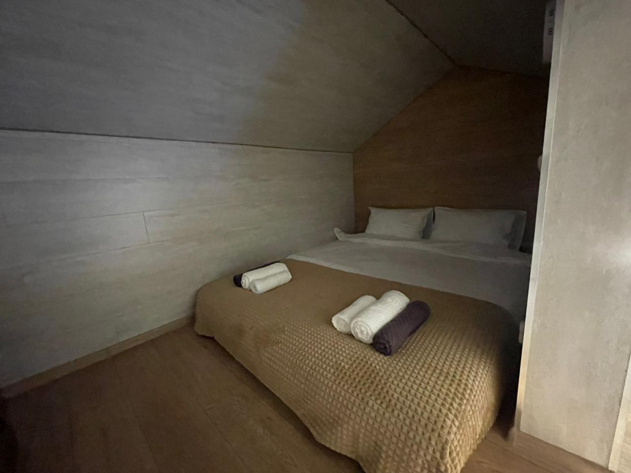 Фото Пихты Snow Point