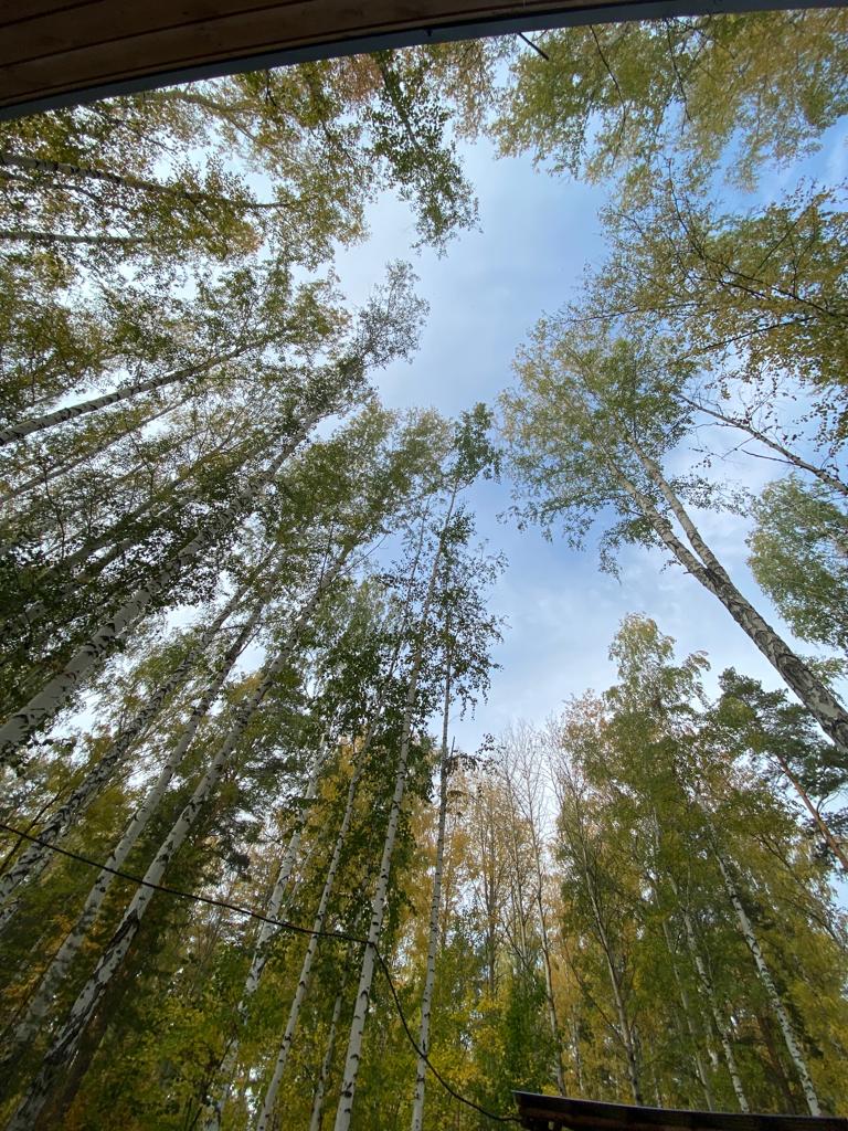 Фото Изумрудная поляна дачи