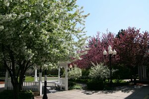 Гостиница Hampton Inn Colchester