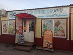Сладкоежка (Ashmarina Street, 59к4), confectionary