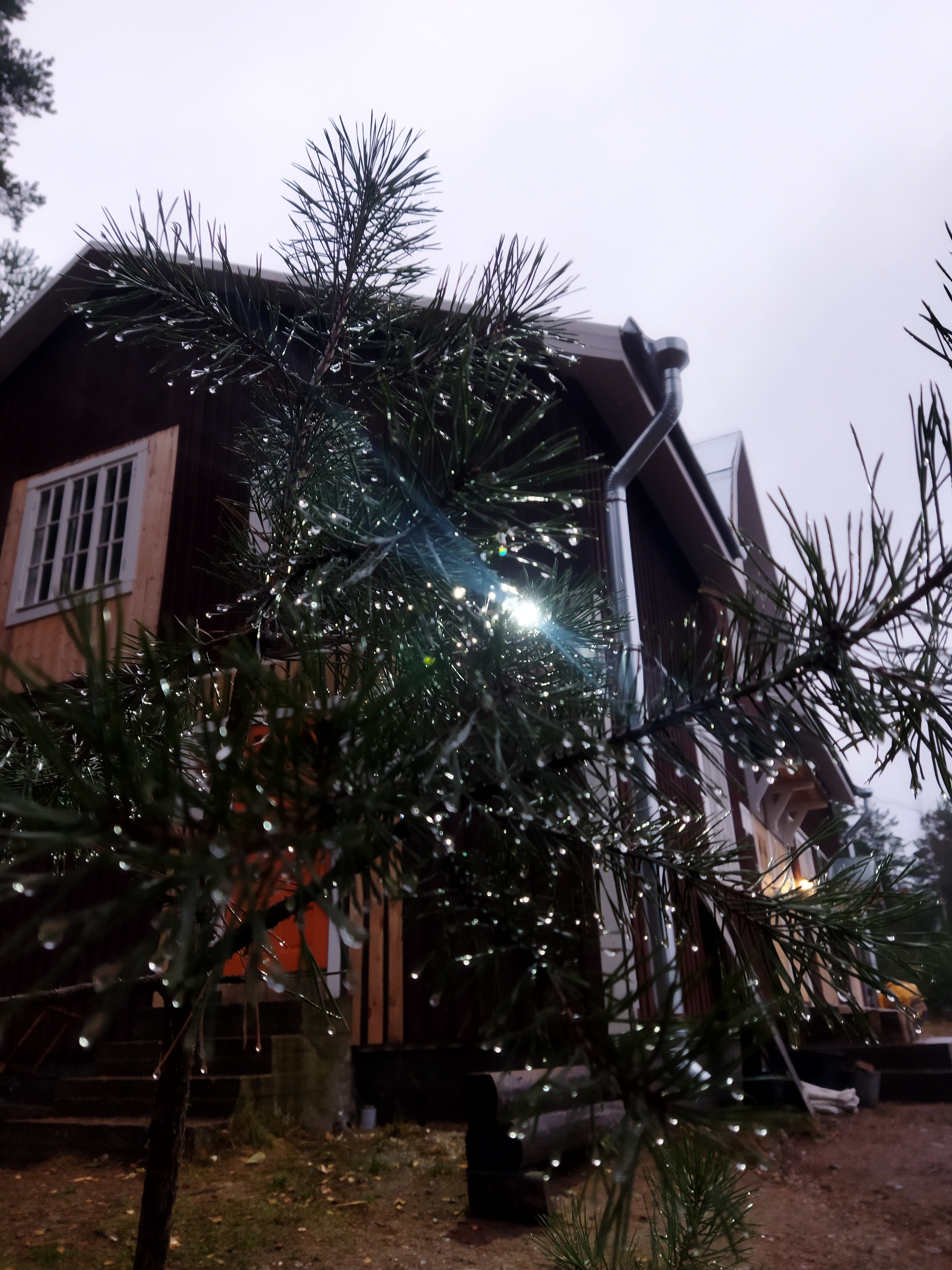 Фото Хутор Milka