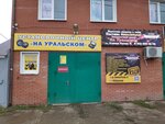 Na Uralskom (ulitsa Stepana Razina, 1В), car alarm