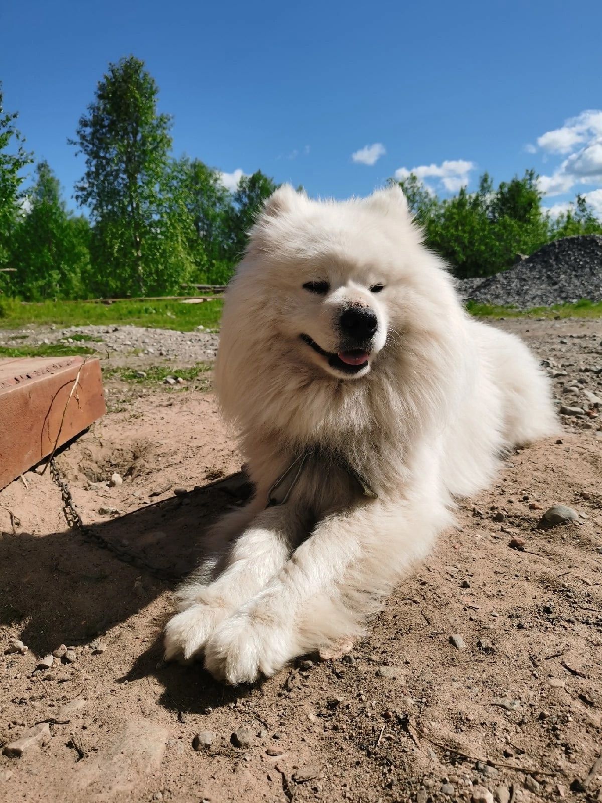 Фото Eco Village Park