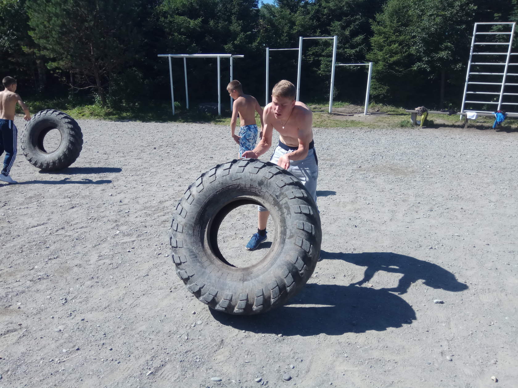 Фото Колибри