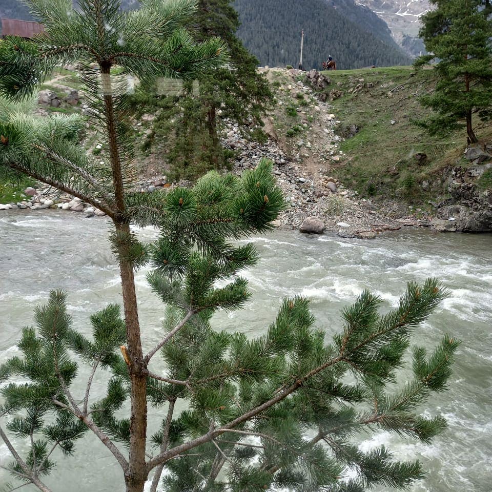 Фото Речной бриз