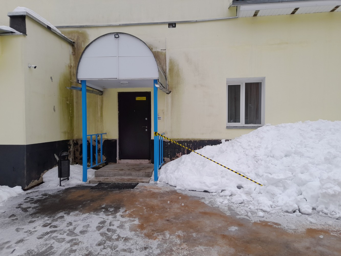 Фото Ленивый жираф