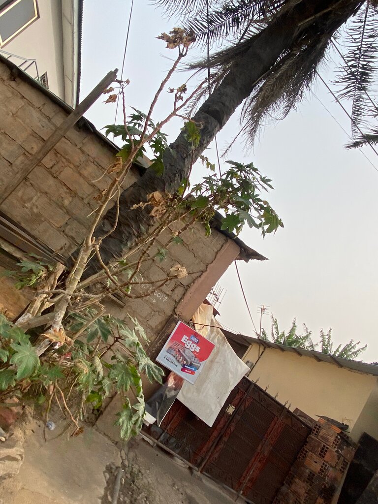 Egg and poultry meat Farm Fresh Eggs, Accra, photo
