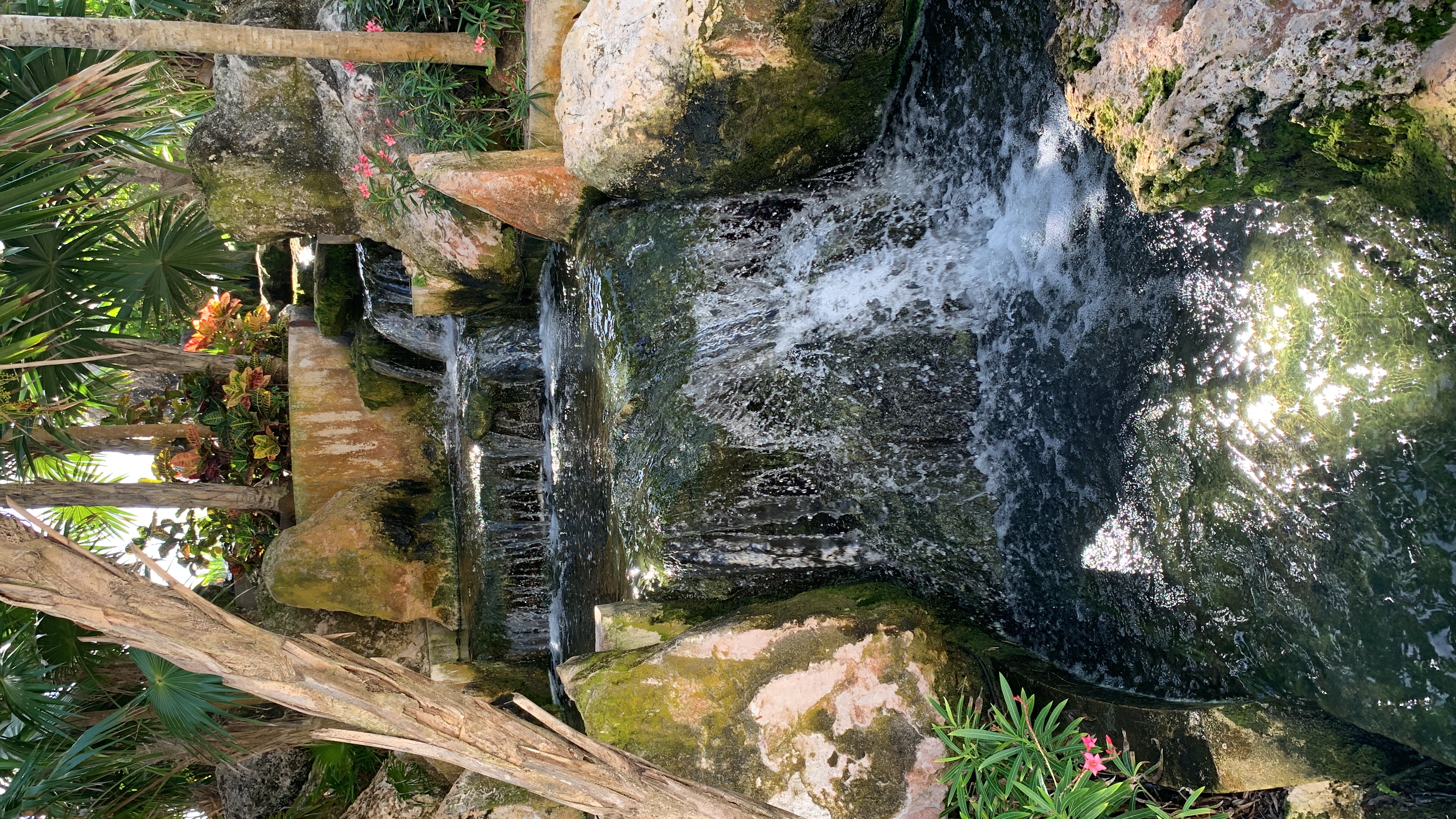 Фото Grand Oasis Cancun