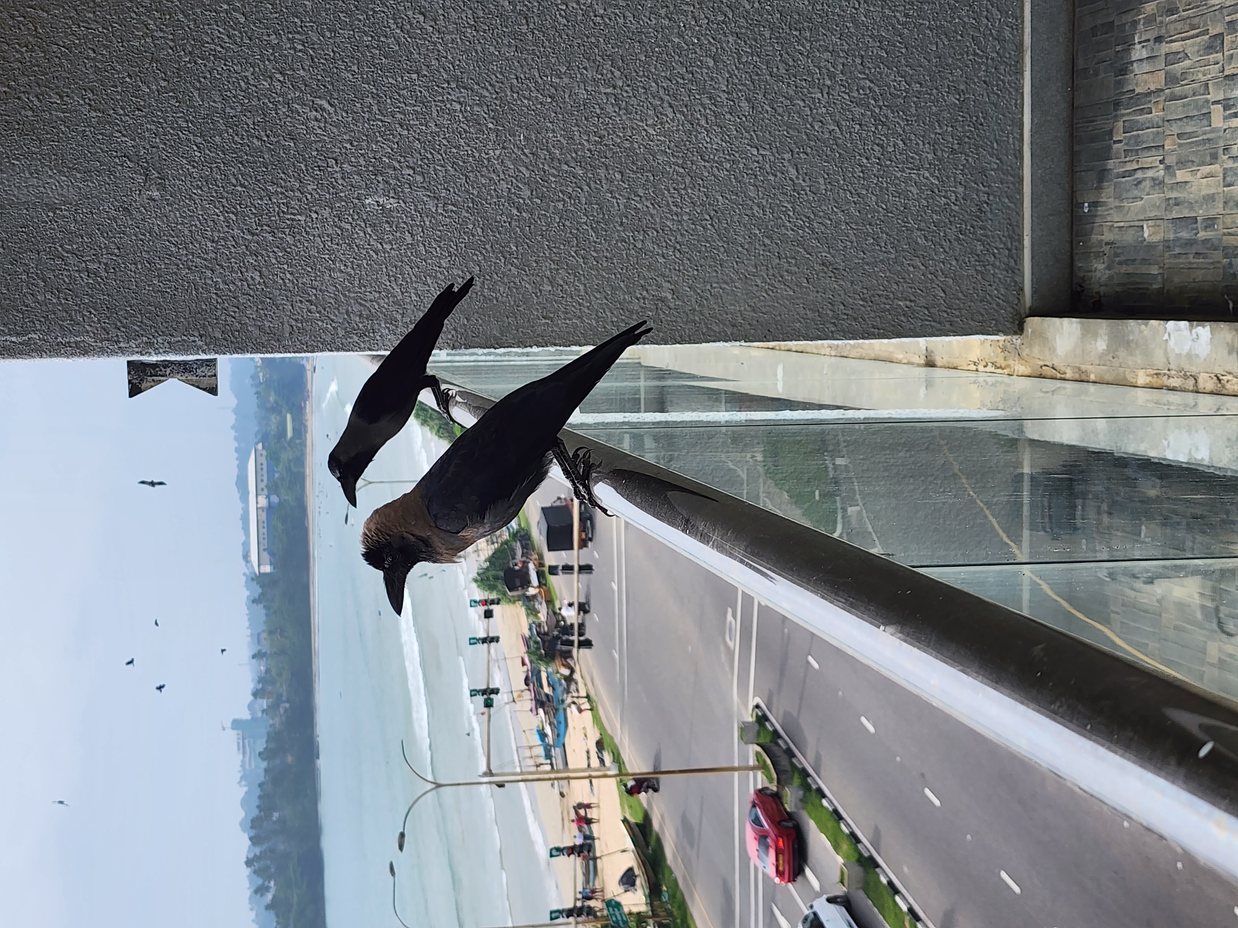 Фото Fairway Sunset