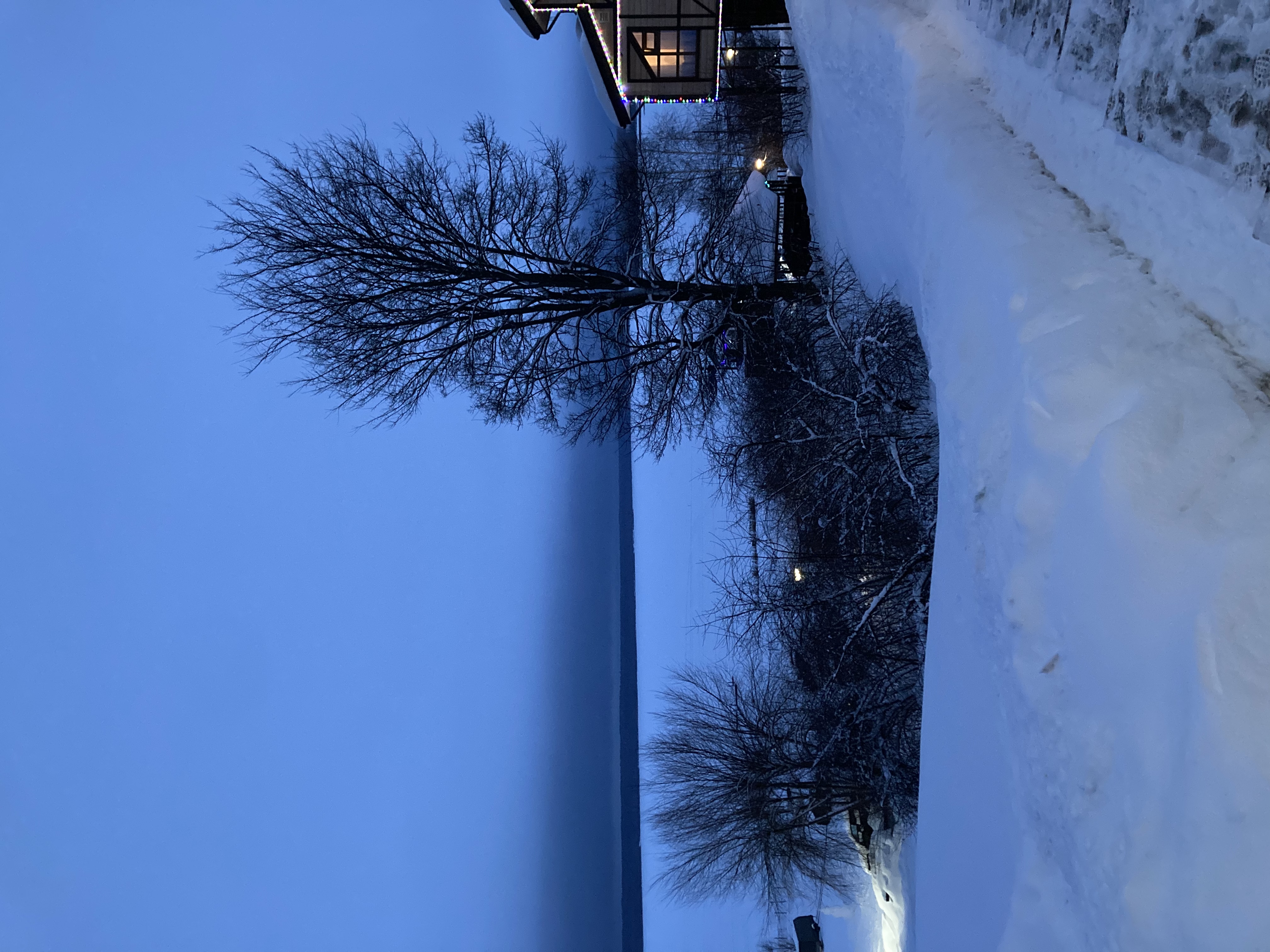 Фото Фокино-Приволжье