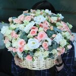 بلاك توليب فلاورز (Wafi Mall, Umm Hurair 2, Umm Hurair, Bur Dubai, Dubai) ، محل زهور